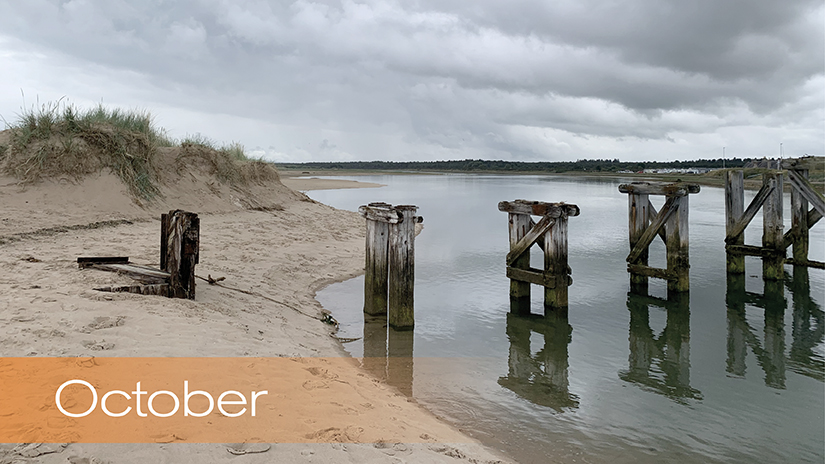 Photo Calendar Competition – October's Winning Entry!